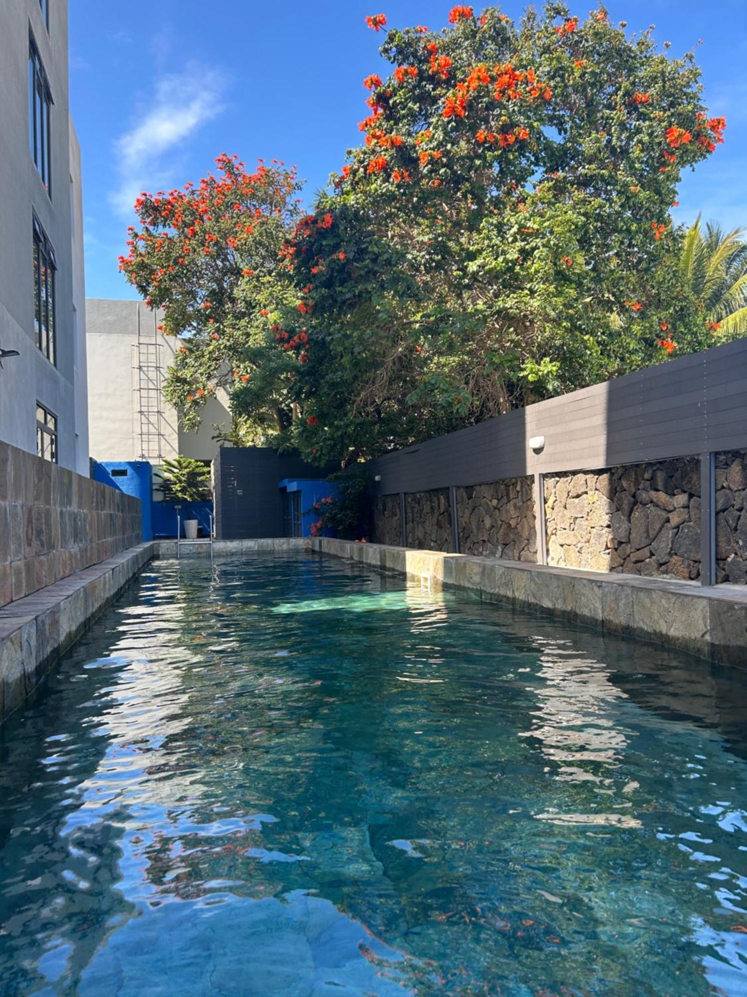 Coastal View Apartments Grand Bay Εξωτερικό φωτογραφία